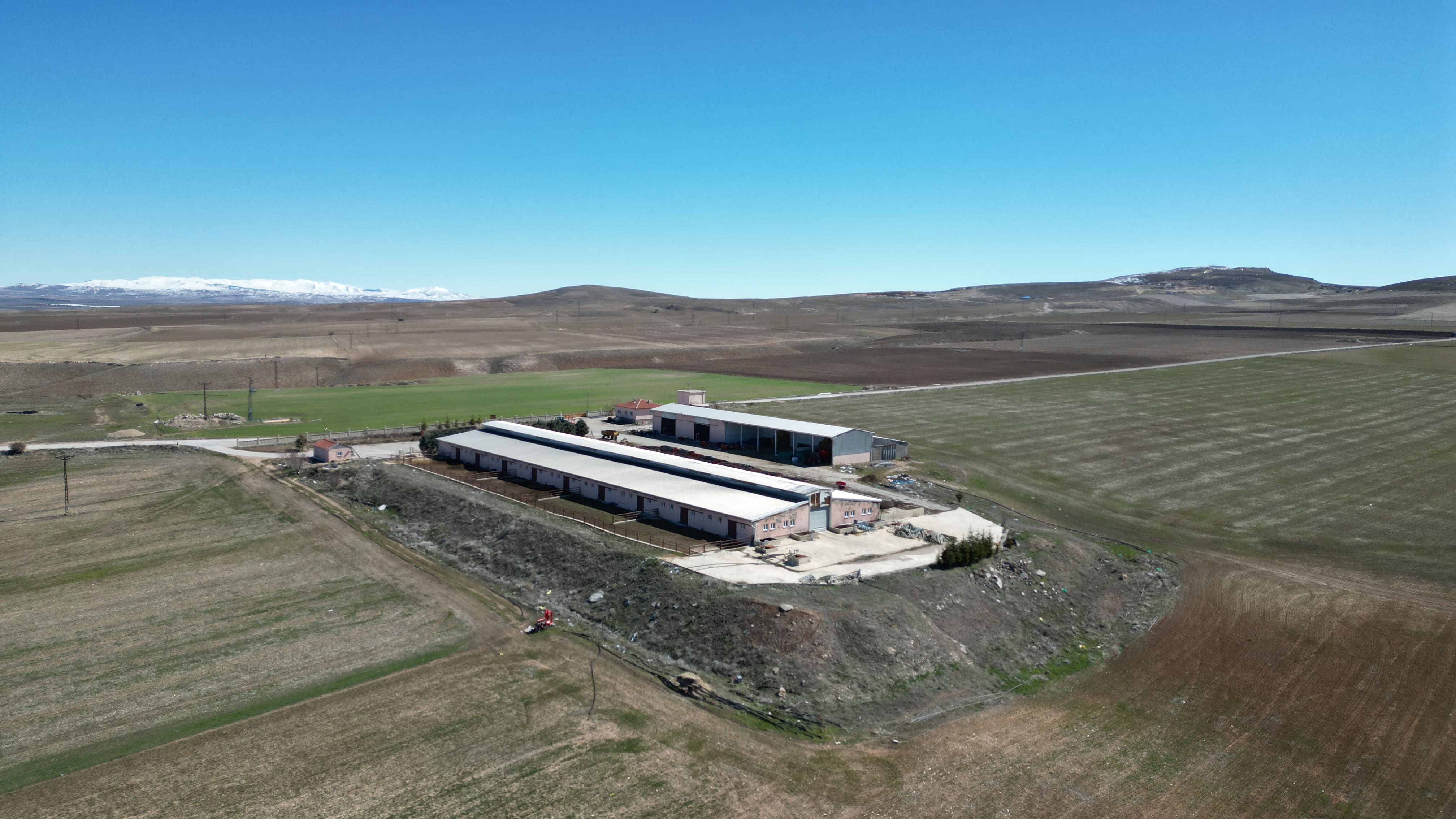 Biogaz