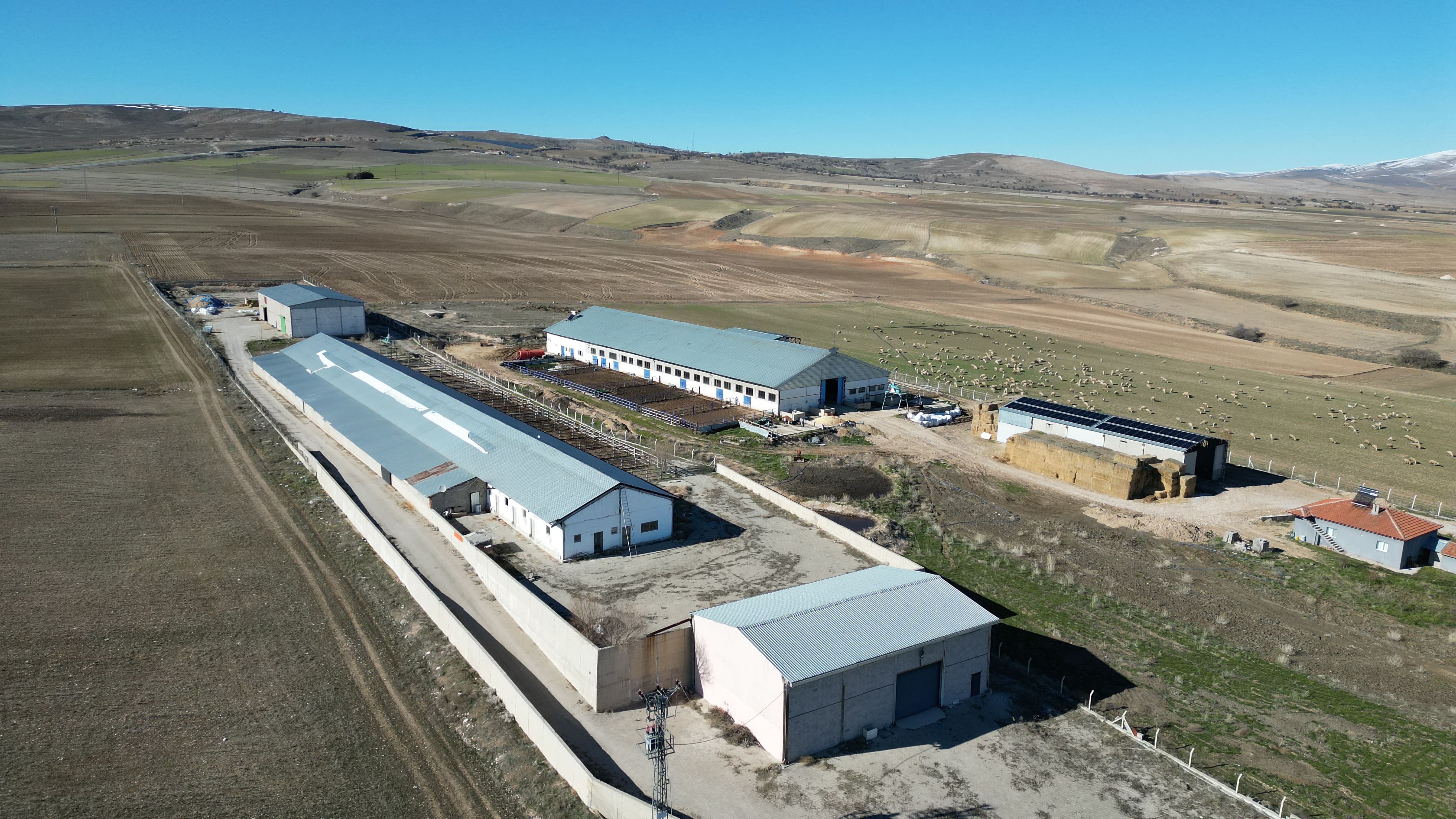 Biogaz